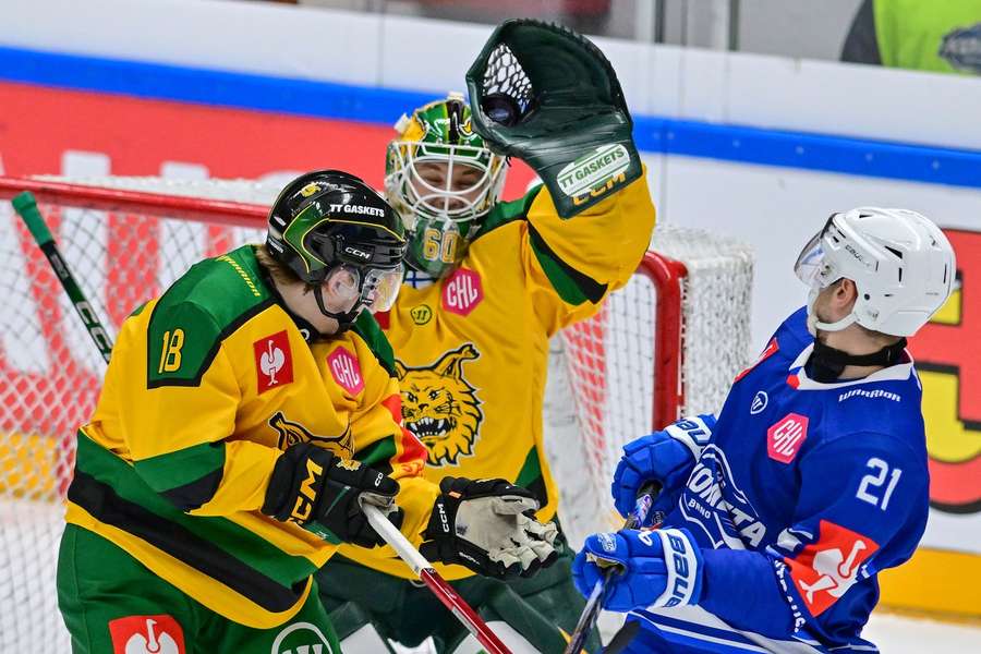 Dubel z Czech i Austrii.jpeg